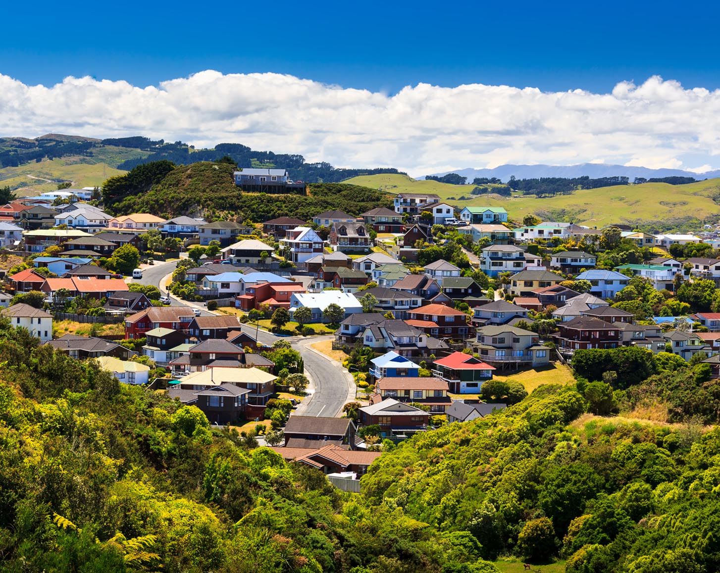 A neighbourhood of houses in Wellington, New Zealand